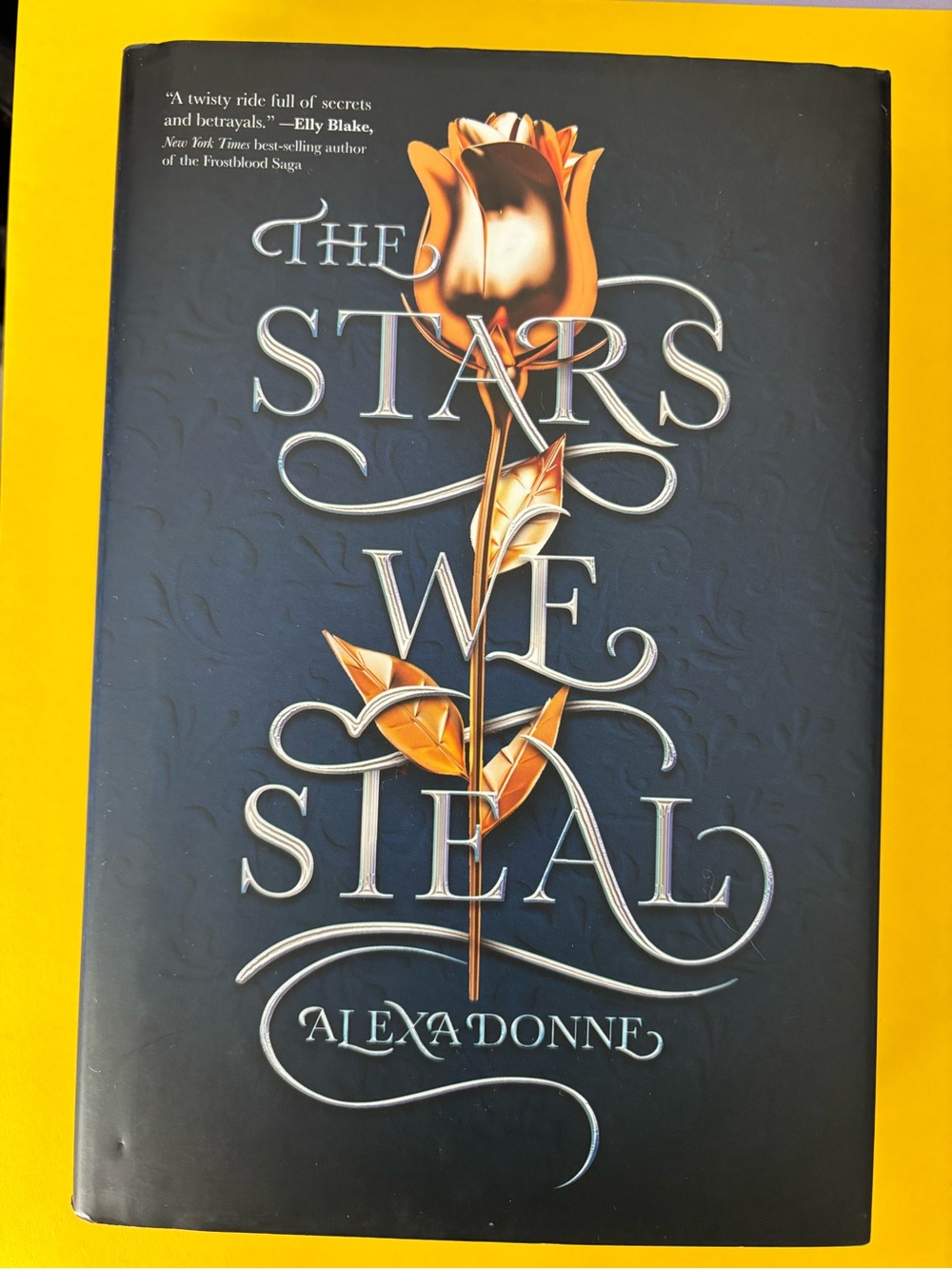 The Stars We Steal by Alexa Donne (Fiction Novel)
